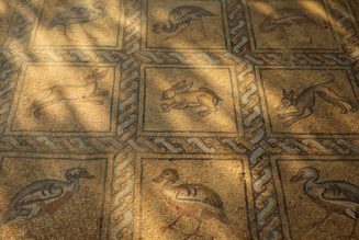 Gaza Farmer Accidentally Unearths Well-Preserved Byzantine Mosaic