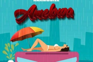 Harmonize – Amelowa