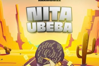 Harmonize – Nitaubeba