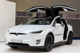 How Successful Will Tesla Be In South Africa?