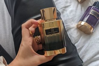 I’ll Be Honest, I’m Shocked by How Great These Perfumes Smell