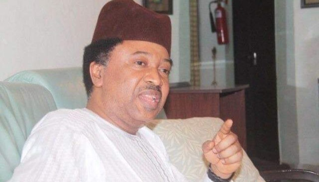 Insecurity: Avoid Kaduna Airport, Shehu Sani Advises Protesting Students