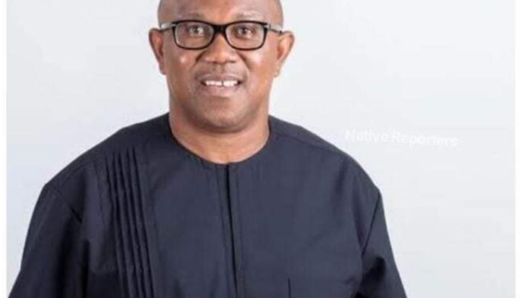 LET TALK: 2023: List States Peter Obi Will Win?