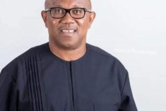 LET TALK: 2023: List States Peter Obi Will Win?