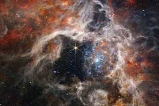 NASA Shares Dazzling Images of a Cosmic “Space Tarantula”