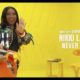 Nikki Laoye – Never Fail