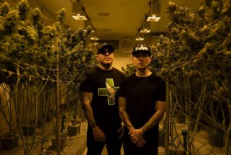 Odd Jobs: Hollywood Undead’s Always Been Cannabis Entrepreneurs — But Now They Do It Legally