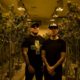 Odd Jobs: Hollywood Undead’s Always Been Cannabis Entrepreneurs — But Now They Do It Legally