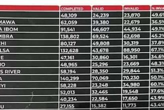 PHOTOS: List Of One Million (1,126,359) Delisted Voters – INEC Breakdown According To States