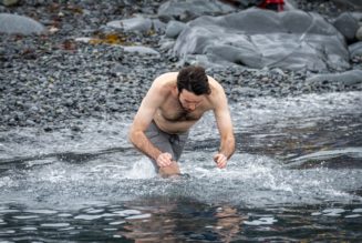 Polar Plunge Q&A: everything you need to know