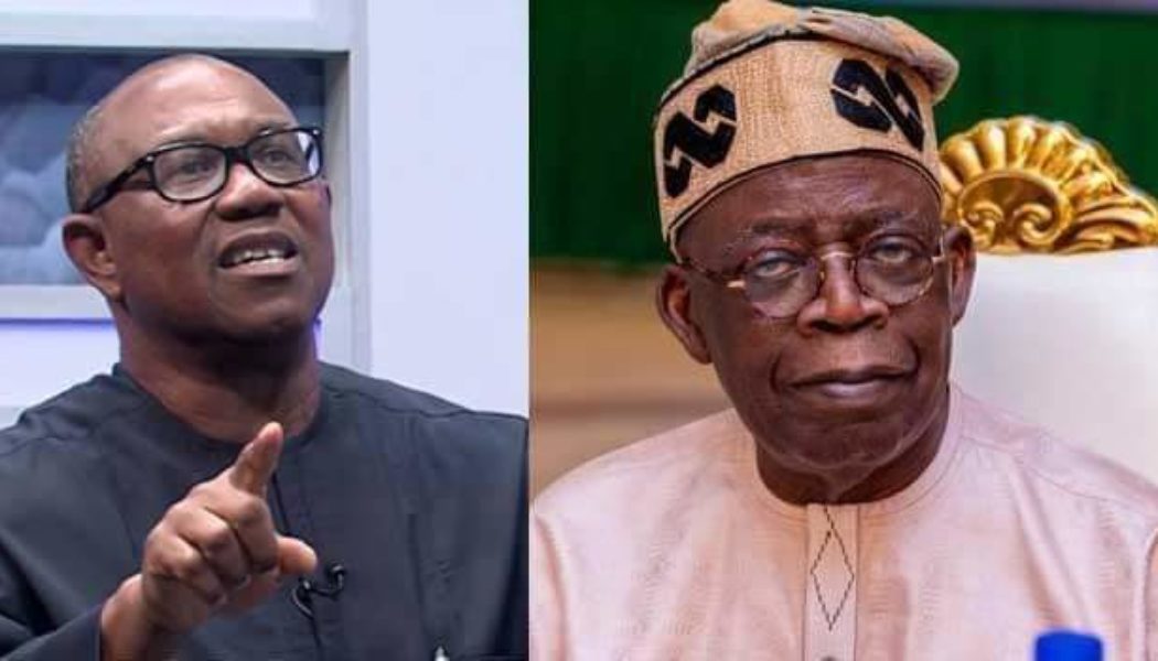 Tinubu is an elder brother of mine and I respect him for who he is – Peter Obi