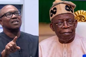 Tinubu is an elder brother of mine and I respect him for who he is – Peter Obi