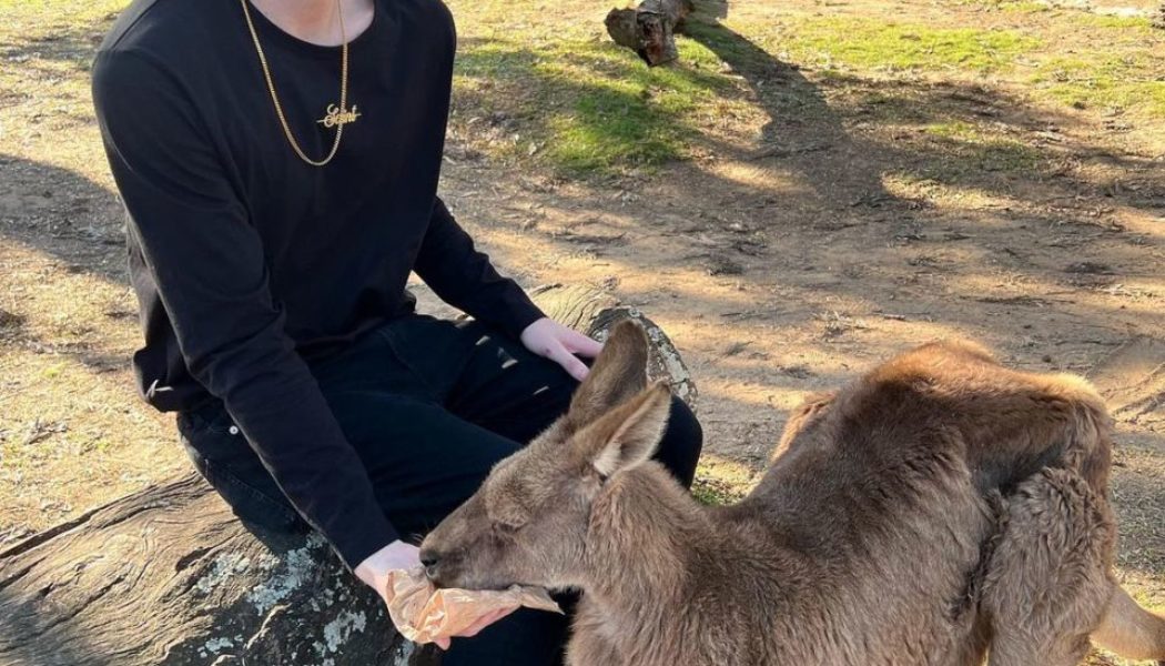 Watch Eliminate Produce a Track With Samples Recorded From Australian Wildlife