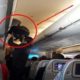 What you Should Never Do in Flight!!!