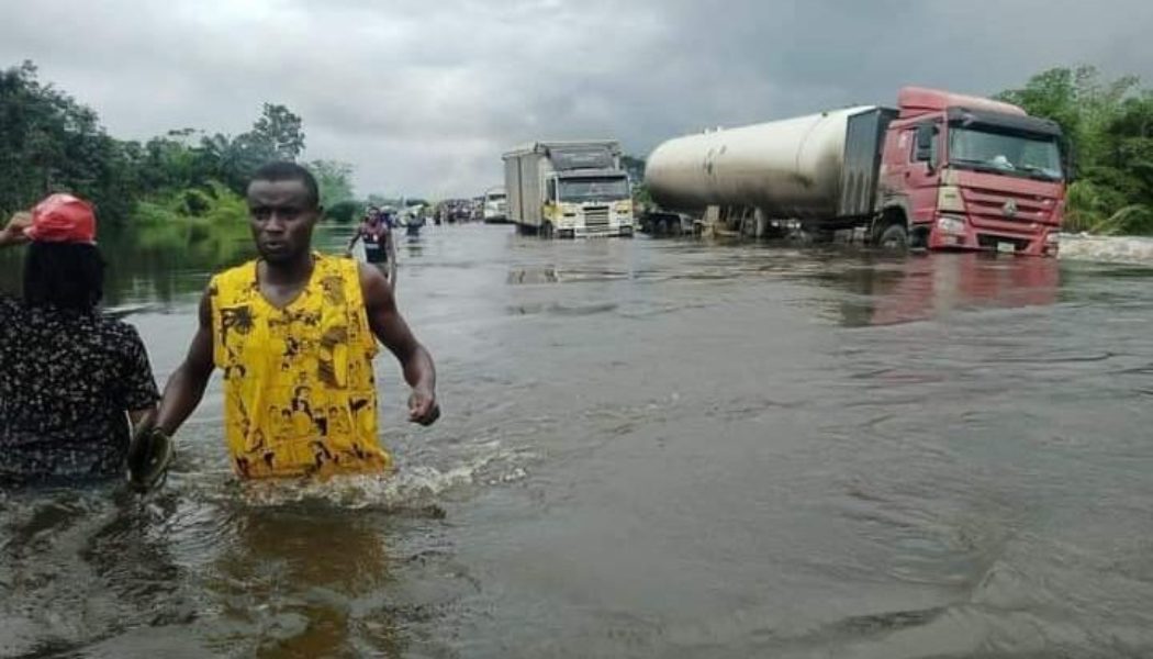 8 Persons Killed As Flood Washes Pythons, Dangerous Sea Reptiles Into Niger Delta Communities (PHOTOS)