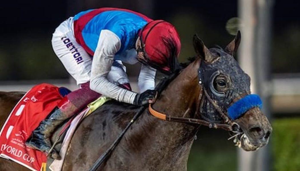 Awesome Again Stakes 2022 Tips: Country Grammer The ‘Write’ Pick