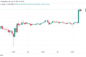 Bitcoin price hits $19.5K into weekly close as trader predicts ‘green week’