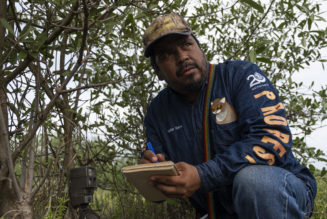 Building a Global Mangrove Movement