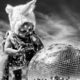 Burning Man Reveals 2023 Theme, Animalia