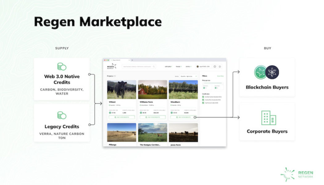 Carbon Offsetting for Blockchains & Beyond: Regen Network Launches Carbon Marketplace