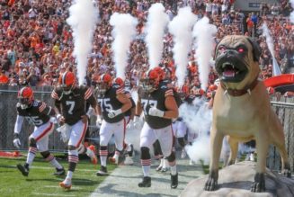 Cleveland Browns vs Cincinnati Bengals Live Stream: How to Watch NFL Streams