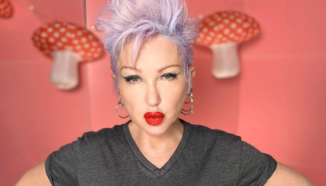 Cyndi Lauper Announces Girls Just Want to Have Fundamental Rights Fund