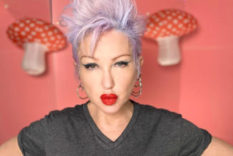 Cyndi Lauper Announces Girls Just Want to Have Fundamental Rights Fund