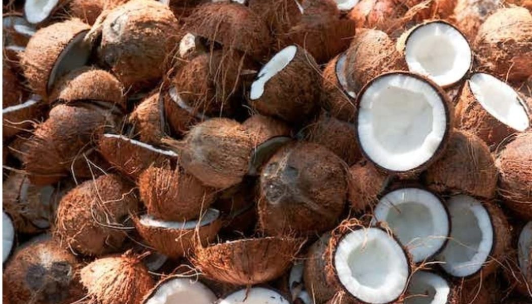 Effects Of Coconut On People With High Blood Sugar