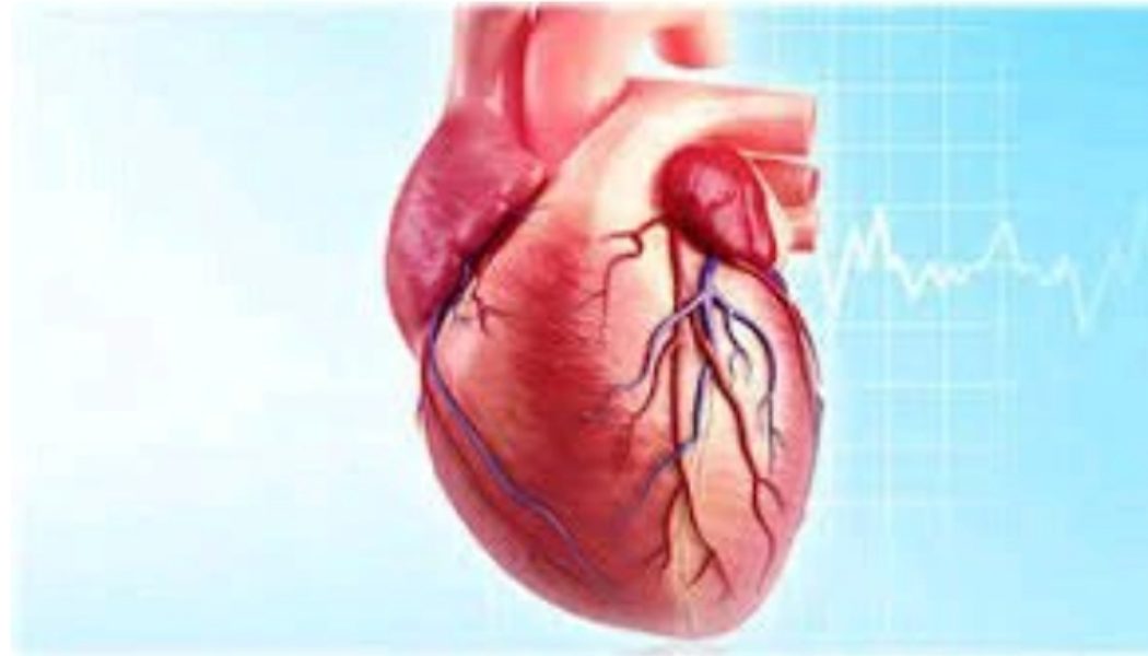 Heart Disease Kills Fast: Avoid Too Much Intake Of These 3 Things If You Want To Live Long