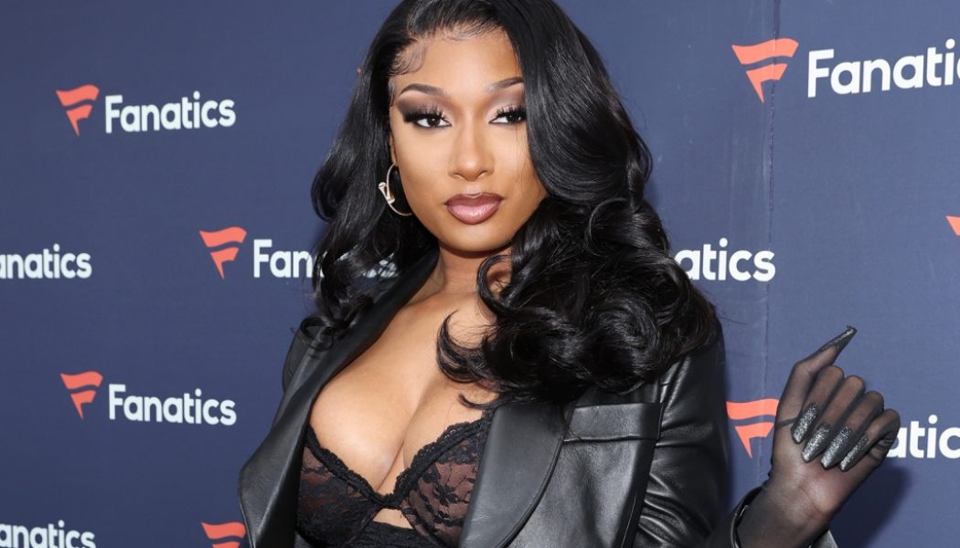 Here’s Why Megan Thee Stallion Fans Think She’s Working With ‘Stranger Things’