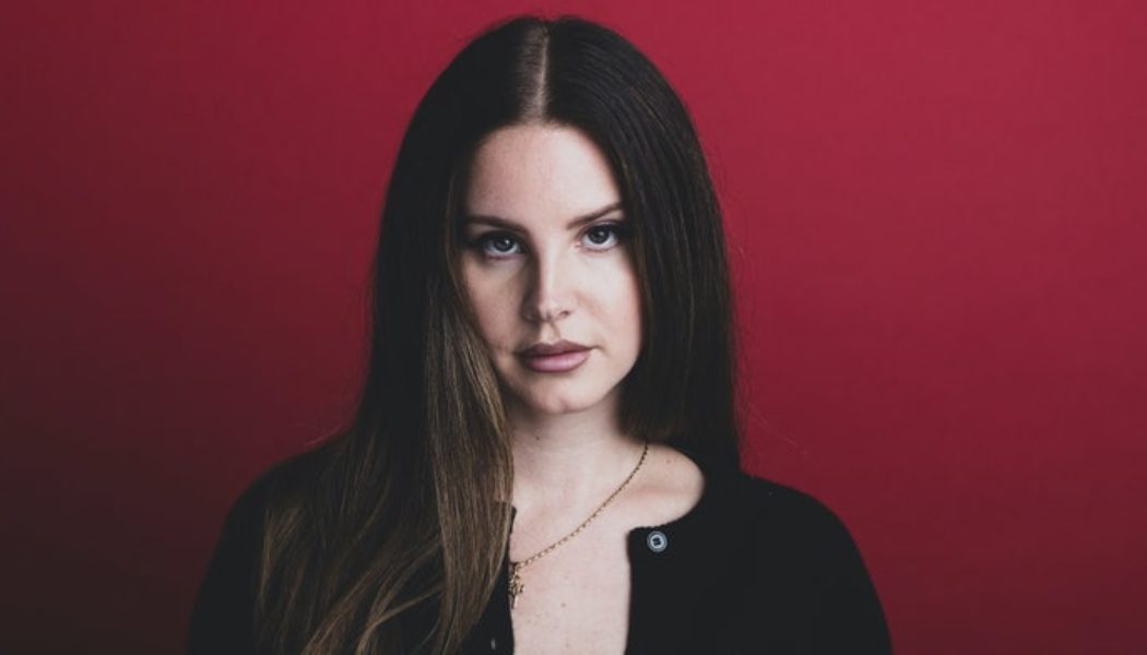 Lana Del Rey Updates Fans, Says She Lost Music and Book Manuscript on Stolen Hard Drives