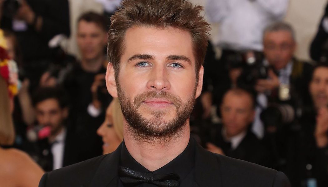 Liam Hemsworth will play Geralt of Rivia in The Witcher’s fourth season