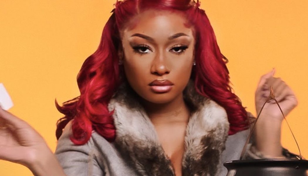 Megan Thee Stallion Celebrates Halloween With New Netflix & Chills Horoscopes