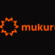 Mukuru’s bulk payment platform poised to extend financial inclusion across Africa