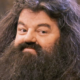 R.I.P. Robbie Coltrane, Hagrid in Harry Potter Series Dead at 72