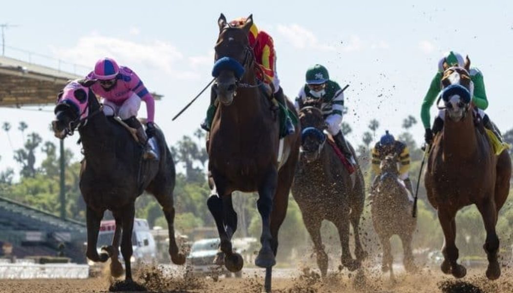 Rodeo Drive Stakes 2022 Betting Guide For Santa Anita Race