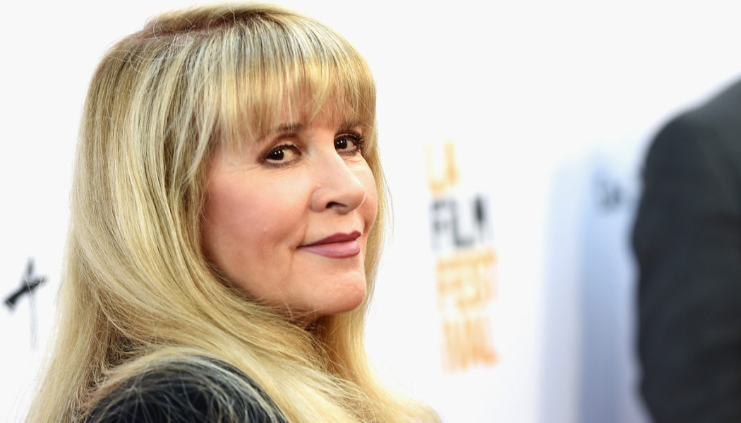 Stevie Nicks Shares Poem and Teases New Song Ahead of Midterms: “They’ll Take Your Soul”