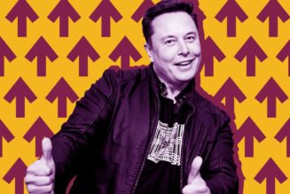 The Elon Musk vs. Twitter trial is on hold until October 28th