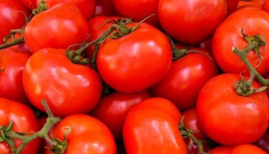 The hidden spiritual power of tomatoes you wish you knew earlier.