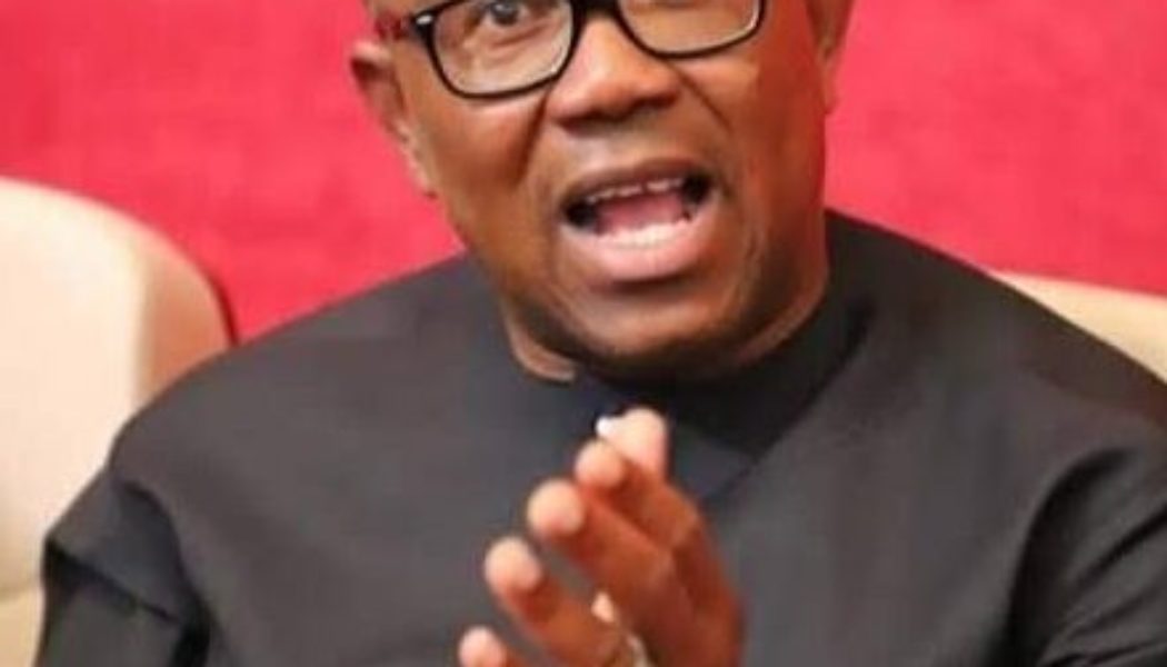 They Want To Put Me In Detention Because I Said It’s Those In Govt That Steal Oil – Peter Obi