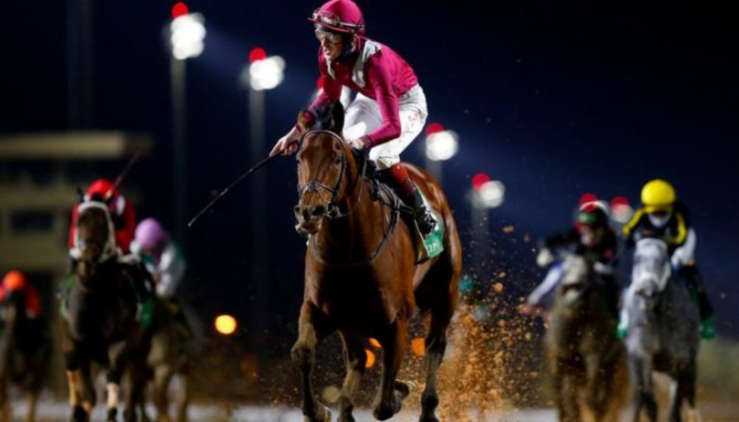 Best Breeders Cup Betting Sites In Colorado | Colorado Sports Betting Guide For Horse Racing