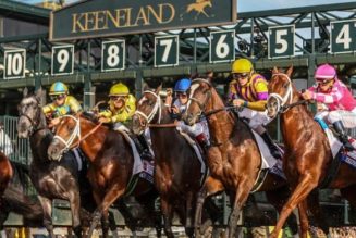 Best Breeders Cup Betting Sites In Florida | Florida Sports Betting Guide For Horse Racing