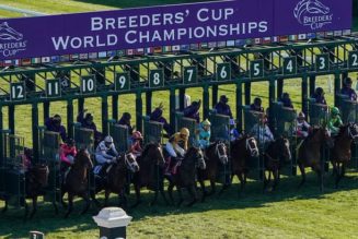 Best Breeders Cup Betting Sites In Mississippi | Mississippi Sports Betting Guide For Horse Racing