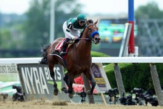 Best Breeders Cup Betting Sites In Ontario | Ontario Sports Betting Guide For Horse Racing