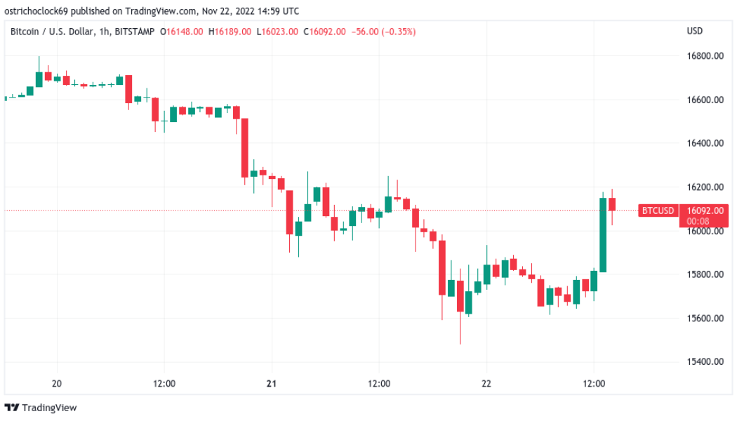 Bitcoin price returns to $16K amid warning over BTC whale selling