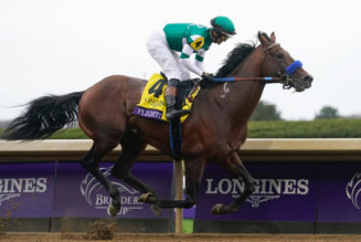 Flightline Retires Undefeated After Breeders’ Cup Classic Win