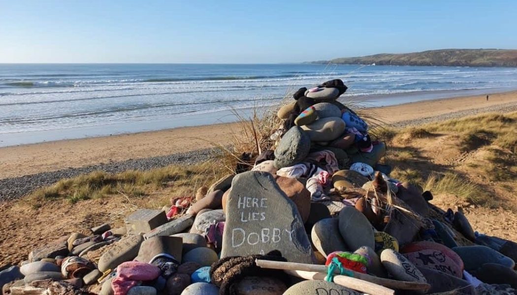 Harry Potter Fans Asked to Stop Leaving Socks at Dobby’s Grave on Wales Beach: “It Could Put Wildlife at Risk”