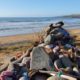 Harry Potter Fans Asked to Stop Leaving Socks at Dobby’s Grave on Wales Beach: “It Could Put Wildlife at Risk”