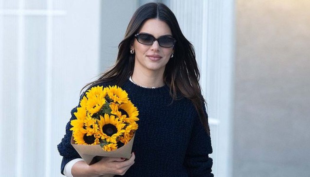 Kendall Jenner Wore Underwear With Nothing But Tights for a Busy Day Out in L.A.