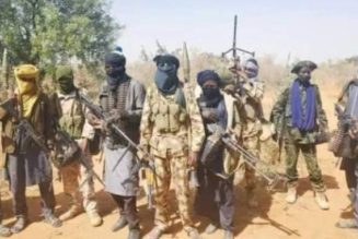 Bandits Kill 21 In Bauchi, Katsina